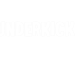 Visa partner logo